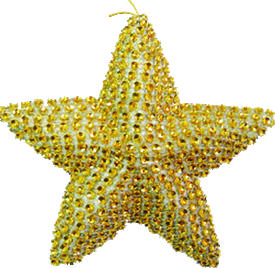 Hanging Star, 11cm