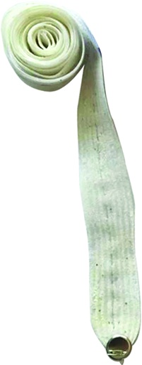 3m Glittered Belt Ribbon - White