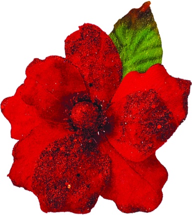 Glittered Poinsettia, 25cm