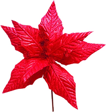 Glittered Poinsettia, 37cm
