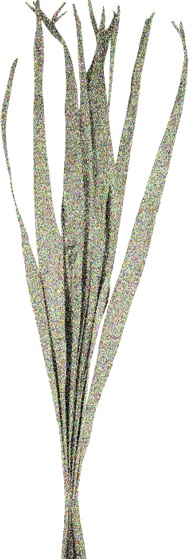 95cm Glittered Dried Palm Leaves - Silver