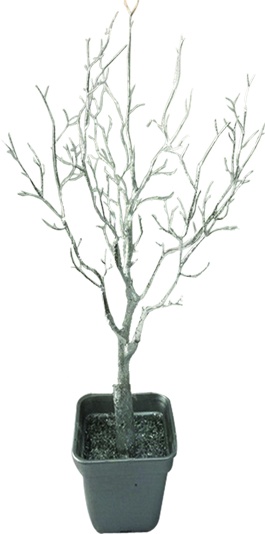 Potted Barren Tree, 75cm