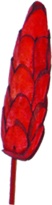 7cm w/ 10cm stem Sola Pine - Red