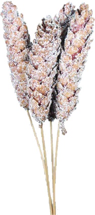 Strobus with Snowflakes