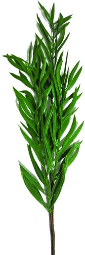 64cm Leaf Spray - Green