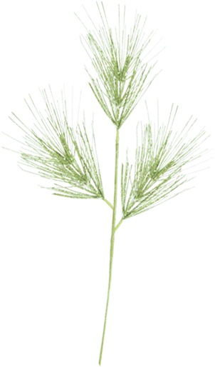 Weed Spray, 60cm