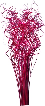 70cm Curly Sticks - Red