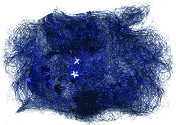 Angel Hair with Stars, 20cm