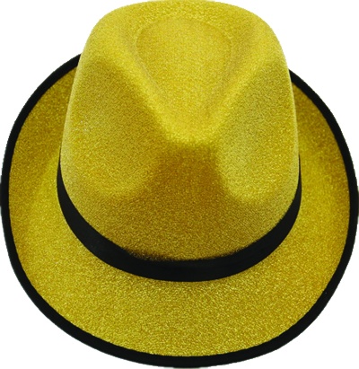 Glitter Hat