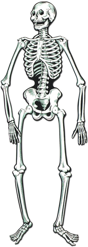 56cm Jointed Skeletons - White/Black