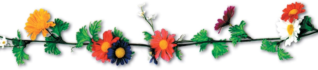 1.8m Daisy Garlands