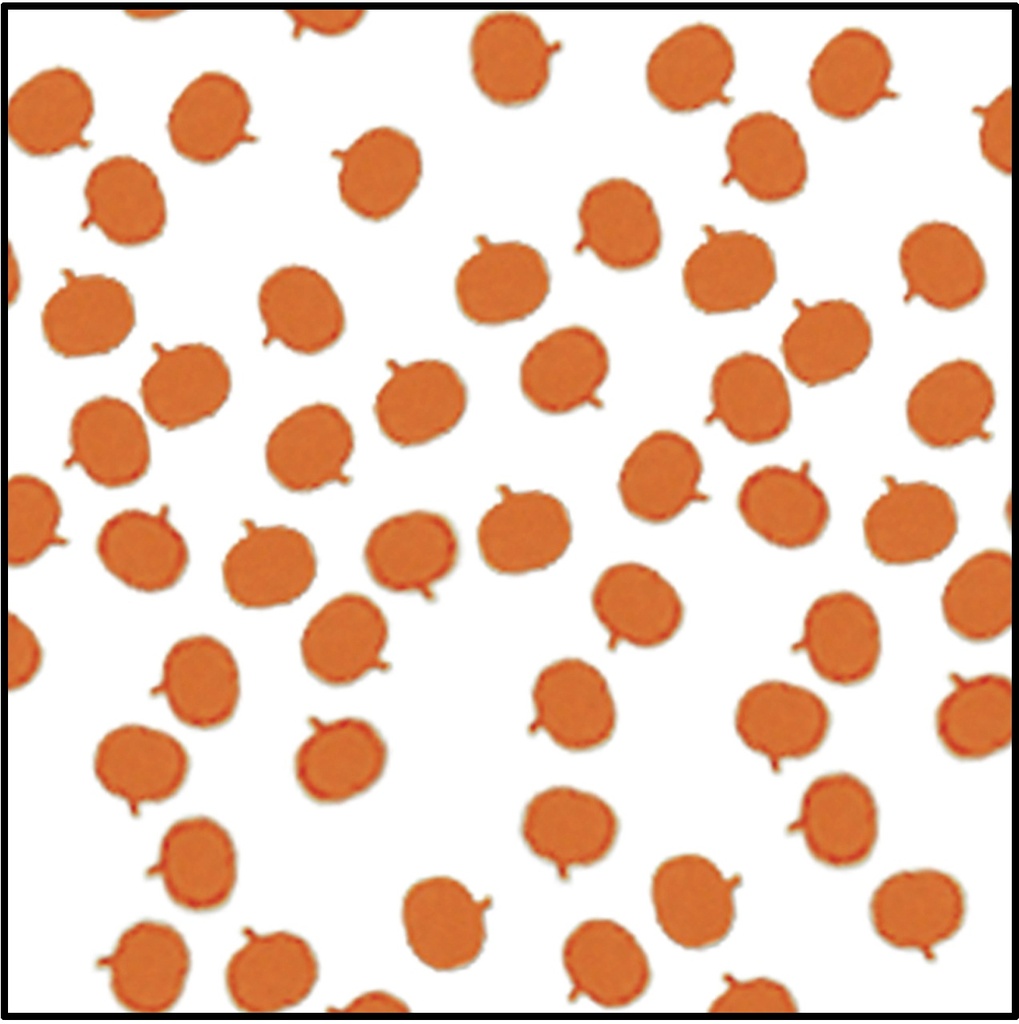 Fanci-Fetti Pumpkins, 28g