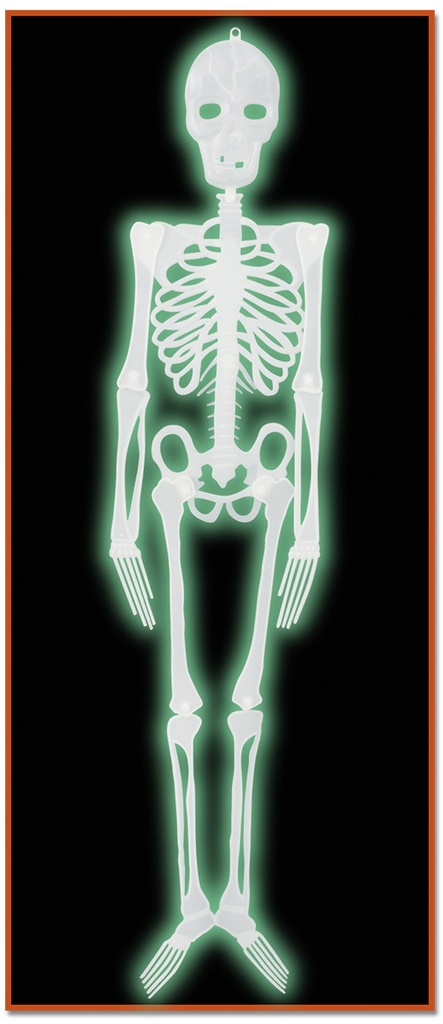 Plastic Nite-Glo Skeleton, 1.2m