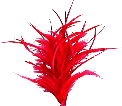 Feather with Clip - Red