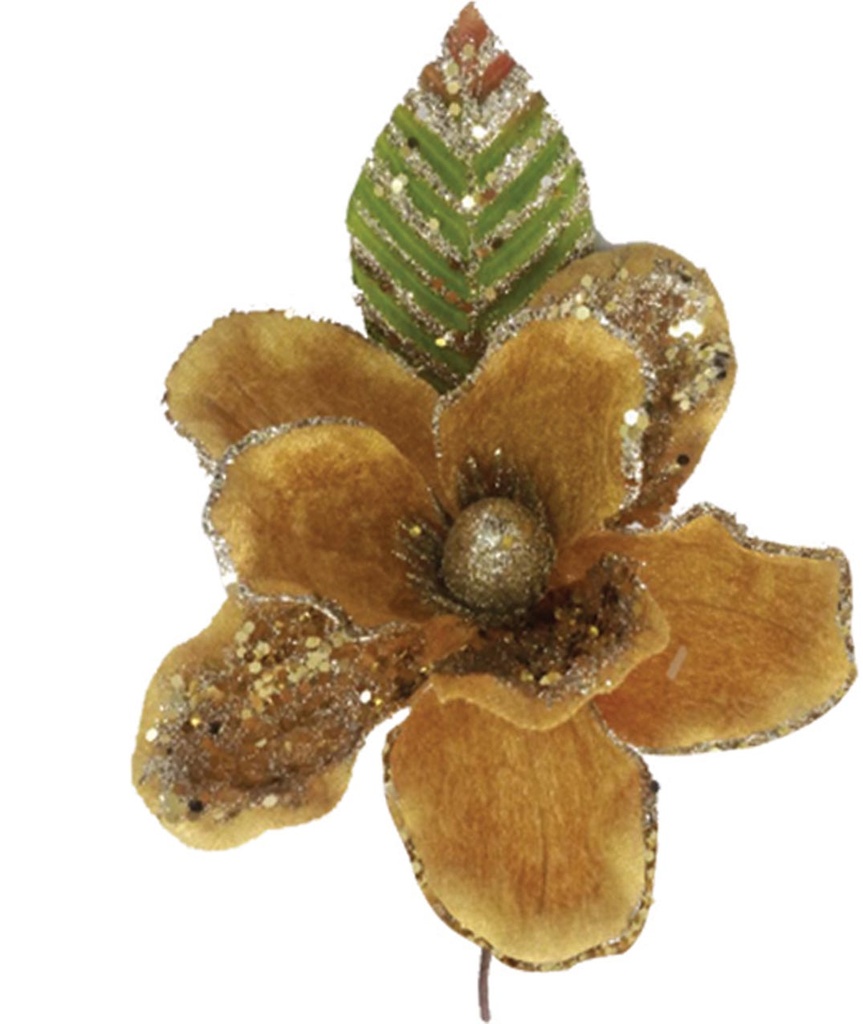 Poinsettia, 25cm