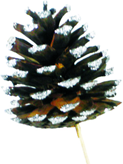 5-7cm Pine Cone with 10cm Stem - Silver