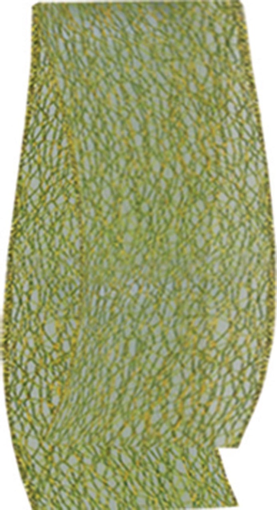 Ribbon #60, 6.5cm x 9.1m Ribbon - Green