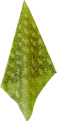 Ribbon #204, 48cm x 9.1m Fabric - Gold/Green