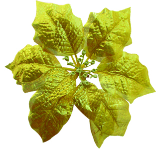 18cm Flower - Gold