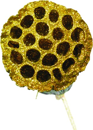 Lotus Pod with Stem, 9cm
