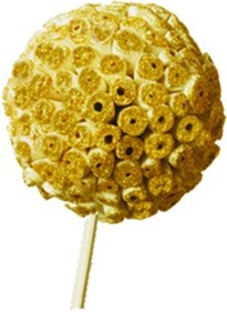 8cm Sola Ata Ball with 15cm Stem  - Gold