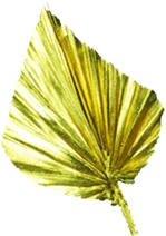 Palm Spear