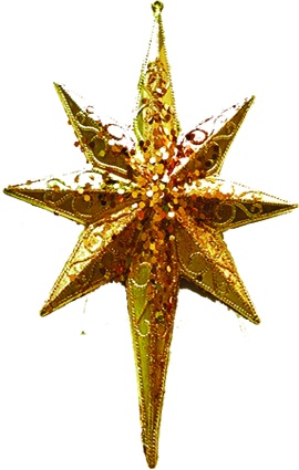 [EY186] Star, 20cm
