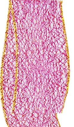[KC5720G7] 9.1m x 6.5cm Mesh Ribbon #59 - Red