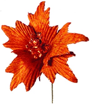 [EY003-CO] Glittered Poinsettia, 14cm