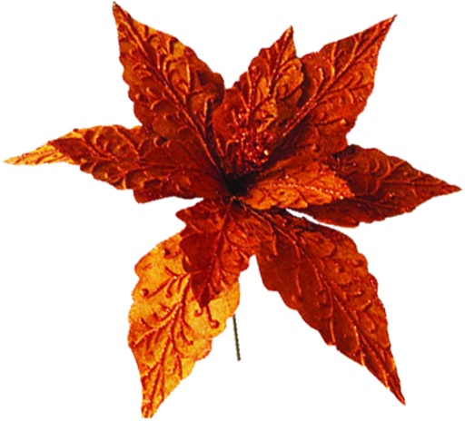 [EY004-CO] Glittered Poinsettia, 50cm