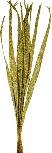[GL165] 95cm Glittered Dried Palm Leaves - Gold