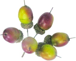 [DZ010] Acorn Pick, 5cm