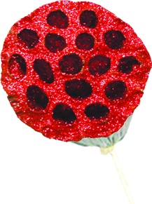 [GL001S-50-R] 5cm w/ 50cm stem Glittered Lotus Pod - Red
