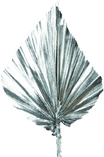 [GL079M-S] 10cm Palm Spear - Silver