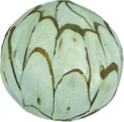 [GL110L-W] 10cm Sola Chips Ball - White