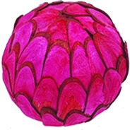 [GL110M-R] Sola Chips Ball, 8cm