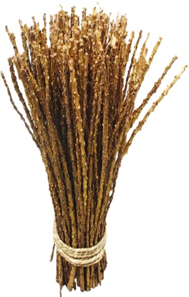 [GL137] Dried Sticks, 1m
