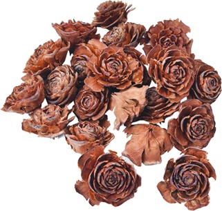 [GL140] Cedar Roses, 4cm