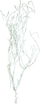 [GL159] 1m Barren Branches - White