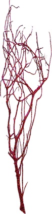 [GL163] Glittered Barren Branches, 1m
