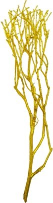 [GL174] 55cm Glittered Barren Tree - Gold