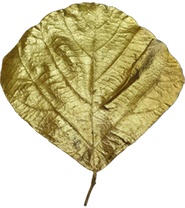 [GL178] Cobra Leaf, 15cm-25cm