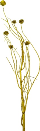 [GL183] Twig Bundle with Pinecones