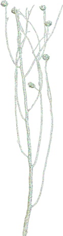 [GL186] Glittered Twig Bundle w/ Pine Cones - Silver