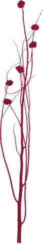 [GL187] Twig Bundle w/ Pine Cones - Red