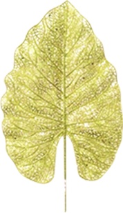 [AC623] Leaf Pick, 43cm
