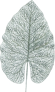 [FG209-S] Glittered Leaf, 42cm
