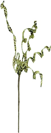 [GN2524V-S] Metallic Curly Pick, 58cm