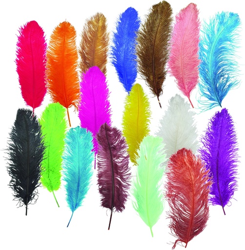 [ZZ007-R] Ostrich Feather - Red
