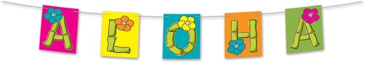 [54108] Aloha Streamer